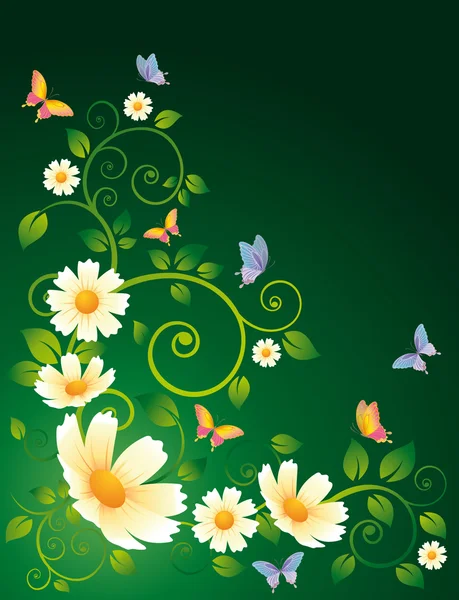 Fond de fleur avec camomilles, vecteur — Image vectorielle