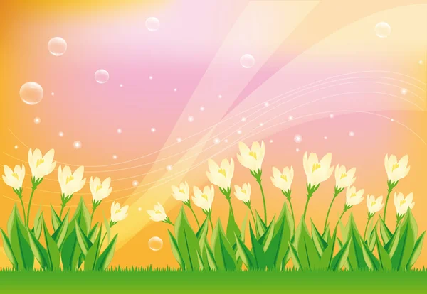 Spring floral background, vector — Stock Vector