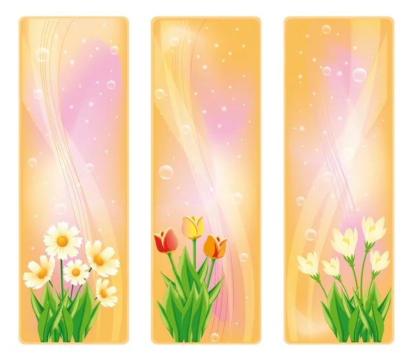Banner floral de primavera, vector — Vector de stock