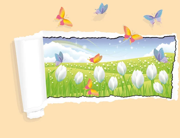 Cartão de primavera com borboletas, vetor —  Vetores de Stock
