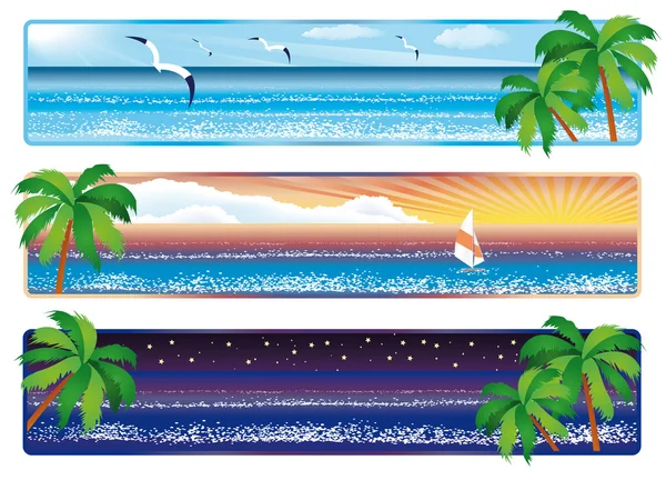 Summer banner with sea and palm, vector — Stock Vector