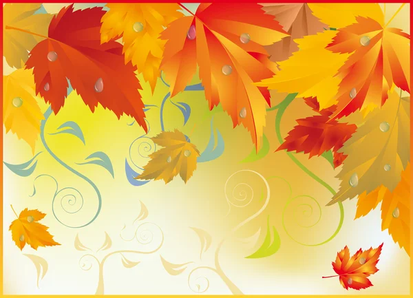 秋天的枫叶卡、 矢量 — 图库矢量图片