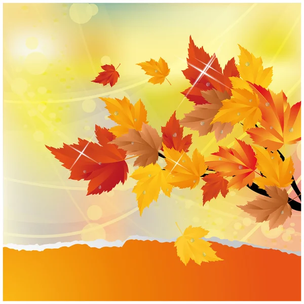 Autumn card with maple tree. vector — Stock Vector