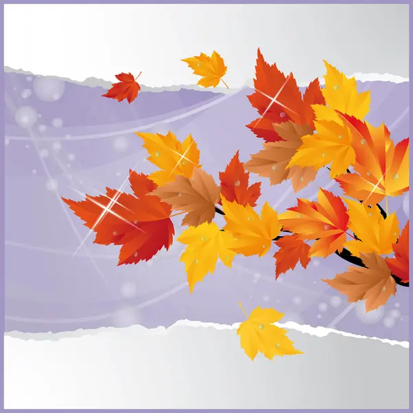 Herbstkarte mit Ahorn. Vektor — Stockvektor