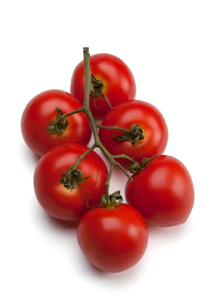 Pomidory na gałęzi — Zdjęcie stockowe