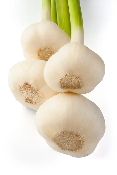 Garlics — стокове фото