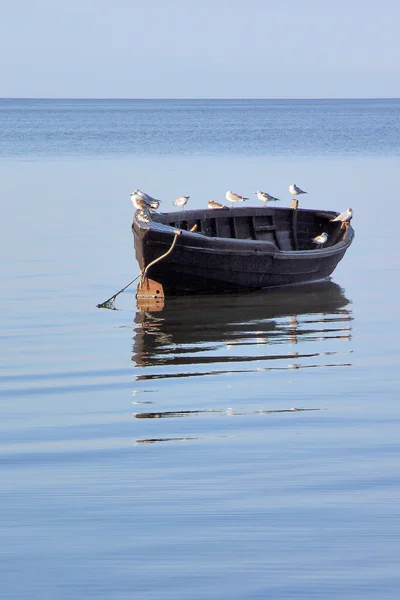 Fisherman boats at seacoast with birds. — Stock Photo, Image