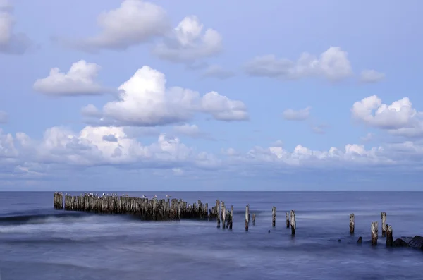 Балтийское море и старый крот . — стоковое фото