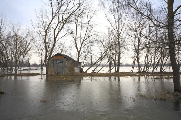Наводнение — стоковое фото