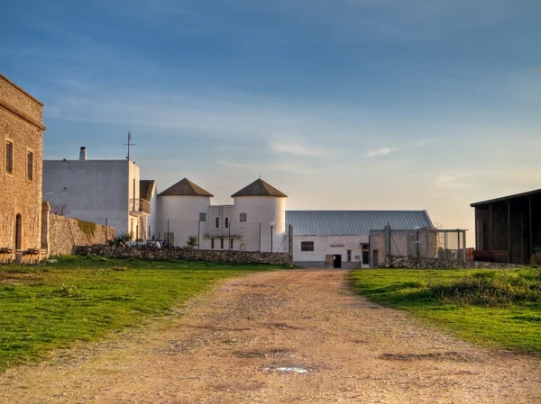 stock image Threshing-floor at sunset.