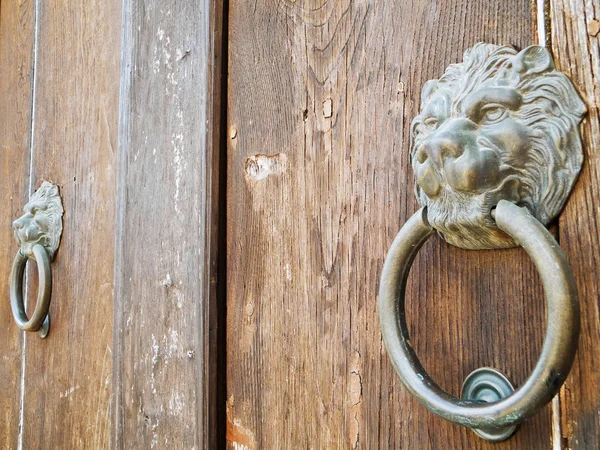 Klepadlo na dveře lví hlavy. — Stock fotografie