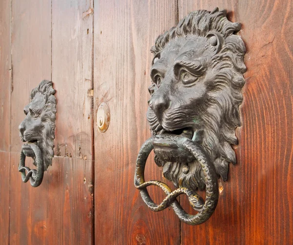 Door knockers on ancient portal. — Stock Photo, Image