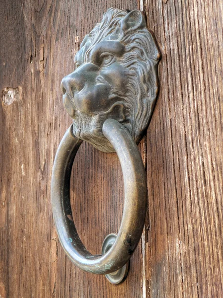 Klepadlo na dveře lví hlavy. — Stock fotografie