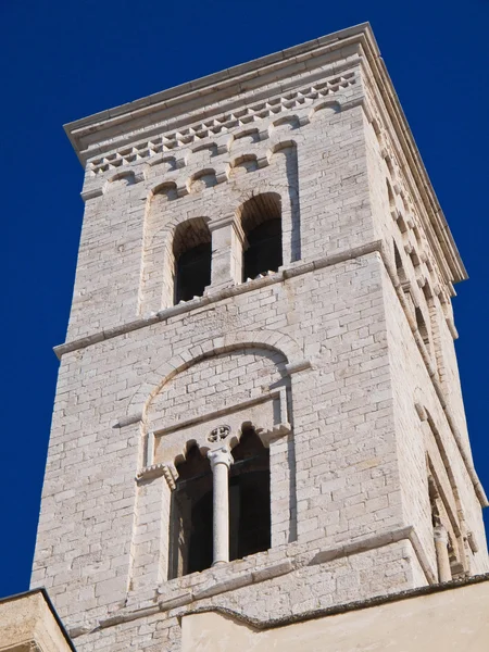 St. corrado klokkentoren. Molfetta. Apulië. — Stockfoto