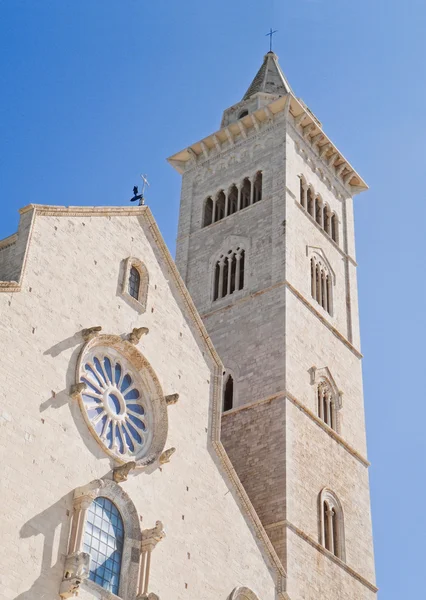 La Cattedrale di Trani. La Puglia . — Foto Stock