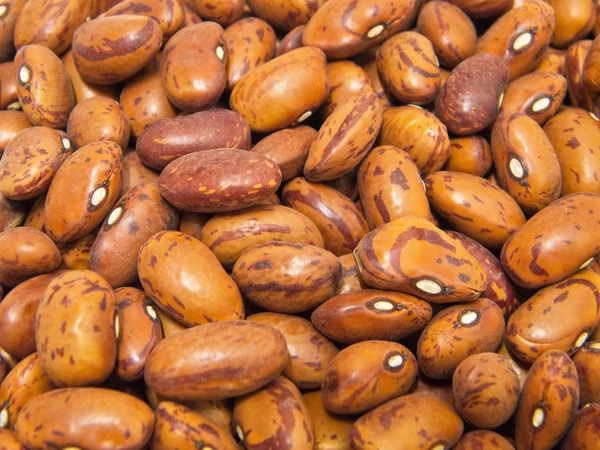 Borlotti beans. — Stock Photo, Image