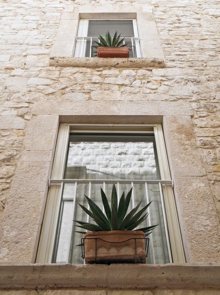 Fenster mit Blumentöpfen. — Stockfoto