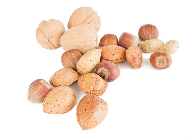 Nuts isolated on white. — Stock Photo, Image