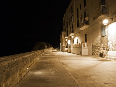 Seafront by night. Monopoli. Apulia. clipart