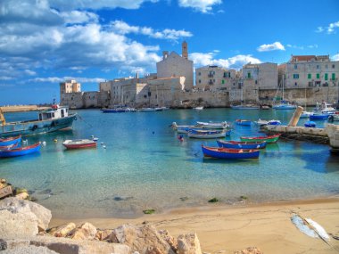 Panoramic view of Giovinazzo. Apulia. clipart