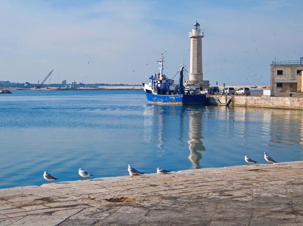 Vista panorâmica do porto turístico de Molfetta . — Fotografia de Stock