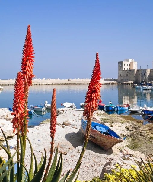 stock image Panoramic view of Giovinazzo seaport.