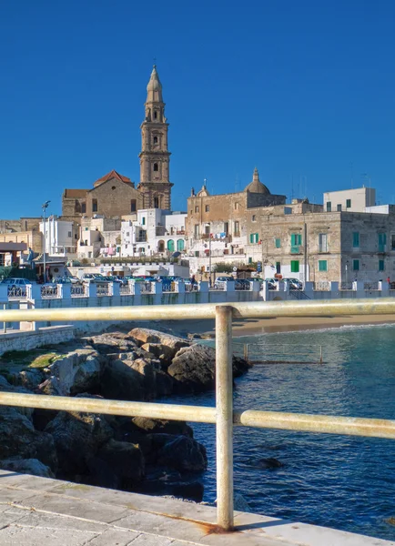 Panoramisch zicht van monopoli. Apulië. — Stockfoto