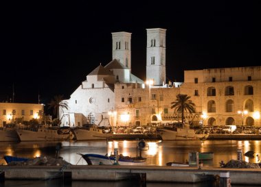 Molfetta Cathedral by night. Apulia. clipart