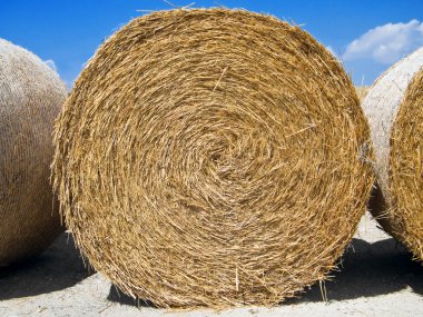 Rolling haystack. clipart