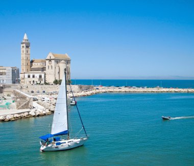 Touristic port of Trani. Apulia. clipart