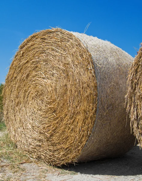 Rolling Haystack. — Stock Photo, Image