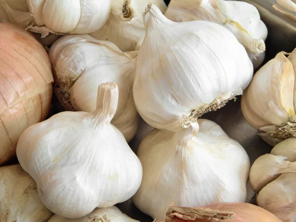 Cloves of garlic and onions. — Stock Photo, Image