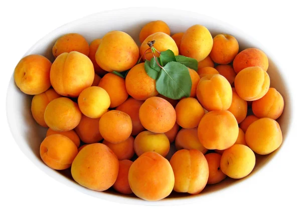 stock image Apricots on white tray.