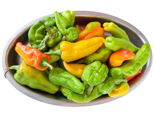 Green and Yellow peppers on silver tray. — Stock Photo, Image