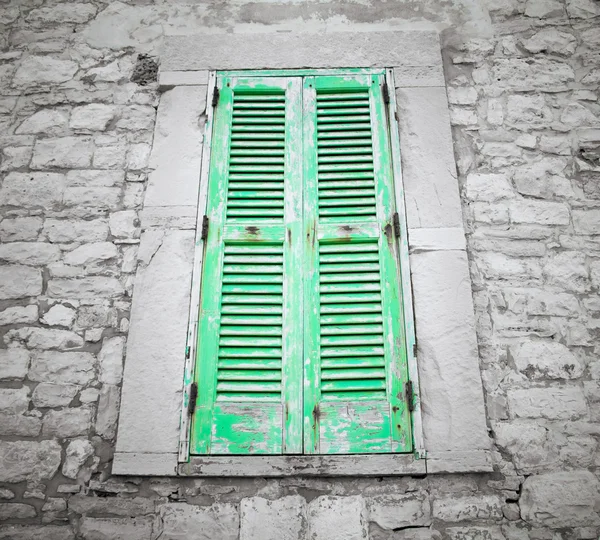 Green closed shutter. — Stock Photo, Image