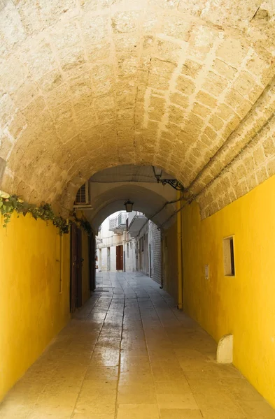 Karakteristik alleyway. Apulia. — Stok fotoğraf