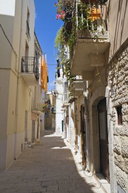 Palo del Colle Oldtown. Apulia. clipart