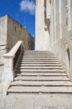 Giovinazzo katedral merdiven. Apulia.