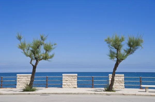 Giovinazzo sahil. Apulia. — Stok fotoğraf