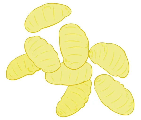 Boulettes de pommes de terre. Gnocchis de pommes de terre . — Image vectorielle