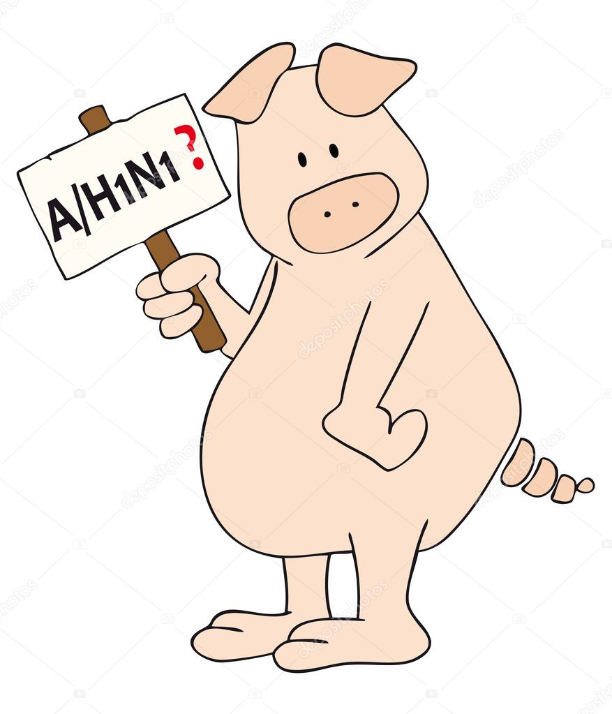 Pig with A/H1N1 placard in the hand.