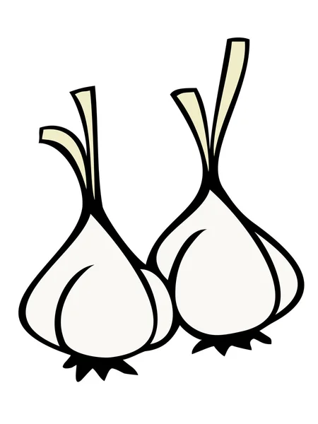 Cloves of garlic. — Stock Vector