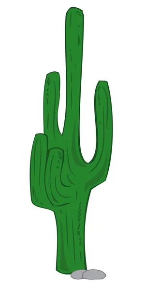 Grön kaktus. — Stock vektor