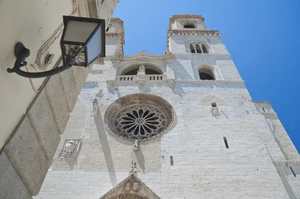 Altamura katedrális. Puglia. — Stock Fotó