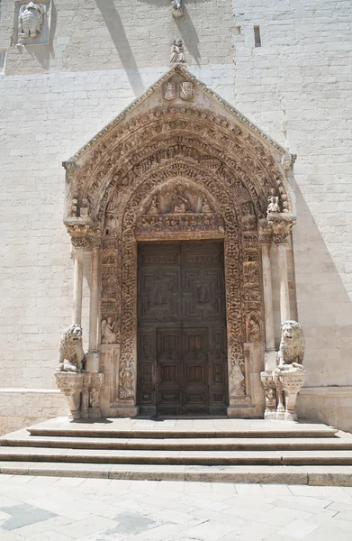 Portale della Cattedrale . — Foto Stock