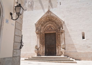 Katedral portal. Altamura. Apulia.