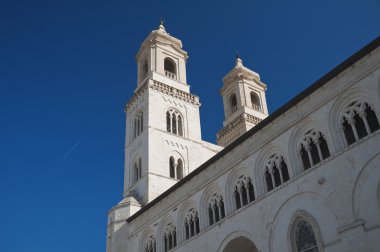 Altamura Cathedral. Apulia. clipart
