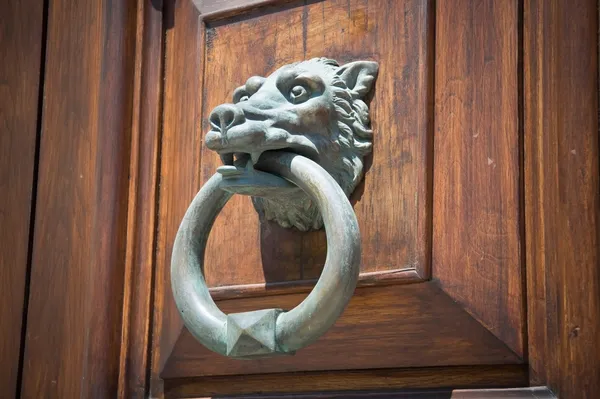 Λύκος κεφάλι doorknocker. — Φωτογραφία Αρχείου