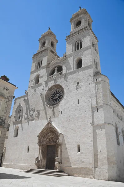 Altamura katedrála. Apulie. — Stock fotografie