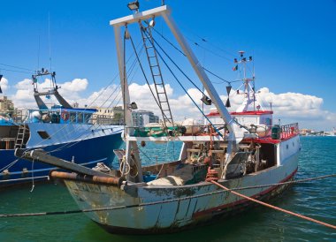 Boats in port. Molfetta. Apulia. clipart